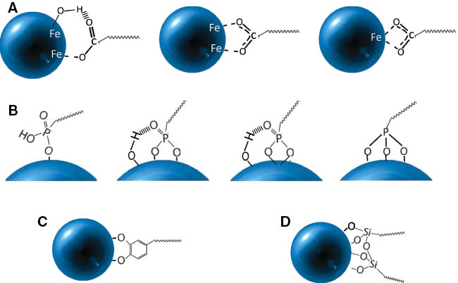 Figure 4: Possible surface complexes according to the coupling agent: (A) carboxylate, (B) phosphonate, (C) catechol, (D) silane.