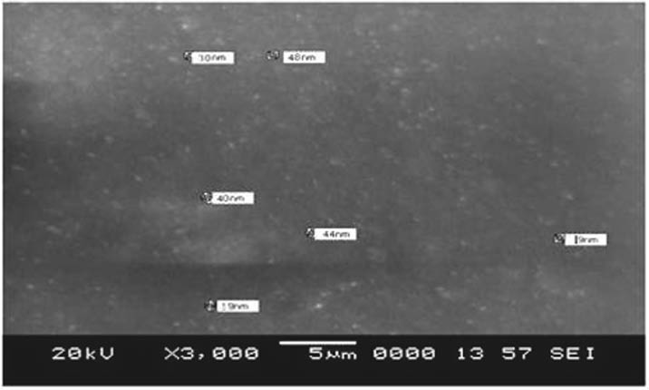 Figure 8: SEM images of PVA/(x)MWCNTs(15-x)ZnO, where x=7.5% weight polymer nanocomposite.