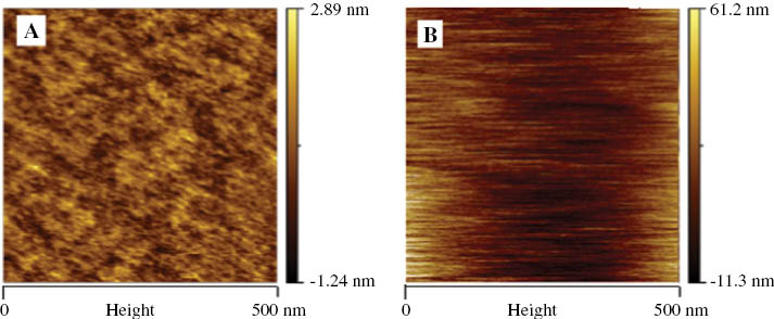 Figure 10: AFM two-dimensional images of (A) pure PVA and (B) doped PVA.
