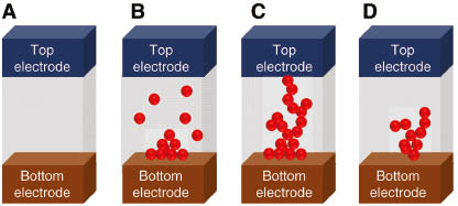 Figure 3: Schematics of resistive switching according to a filamentary conduction model. (A) Native insulator (HRS); (B) creation of conductive channels via electroforming; (C) conductive filaments in a Set process (On state, HRS to LRS transition); and (D) filament rupture in a Reset process (Off state, LRS to HRS transition).