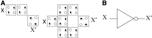 Figure 7: Inverter/NOT circuit. (A) QCA layout; (B) its logic symbol.