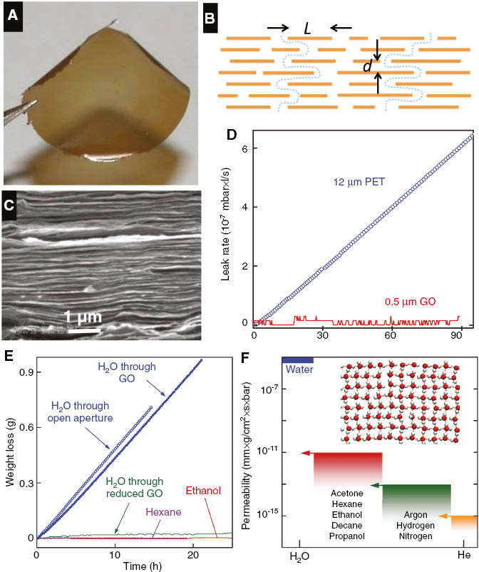 Figure 6: Image of a typical freestanding GO membrane prepared by vacuum filtration. Adapted from Nair et al. [91]. (A) Optical photograph of a film. (B) SEM cross-sectional image showing the structure of the film. (C) Model of permeation through the GO film. (D) Leak rate of helium across a polyethylentherephtalate film and GO. (E) Evaporation of water, hexane, and ethanol across the GO membrane. (F) Comparison of different gas and liquid permeabilities against water.