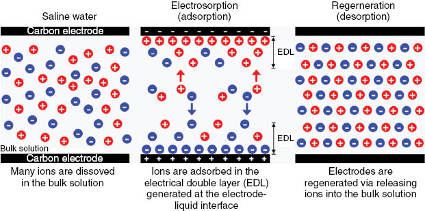 Figure 4: Schematic illustration of CDI. Reprinted with permission from Ref. [66].