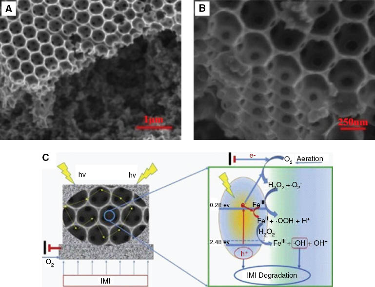 Figure 8: (A) and (B) SEM images of as-prepared 3DOM-Fe2O3 on the CA substrate. (C) Schematic illustration of efficient degradation of IMI with 3DOM-Fe2O3/CA electrode in SPEF process. Reprinted with permission from Ref. [106].