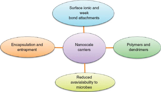 Figure 3: Mechanisms of nanocarriers for efficient delivery of nutrients contained in conventional fertilizers.