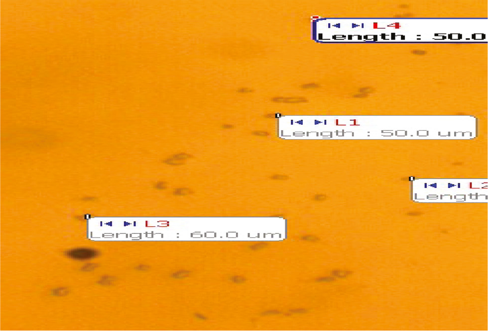 Figure 1: Particle size distribution of neem broth.