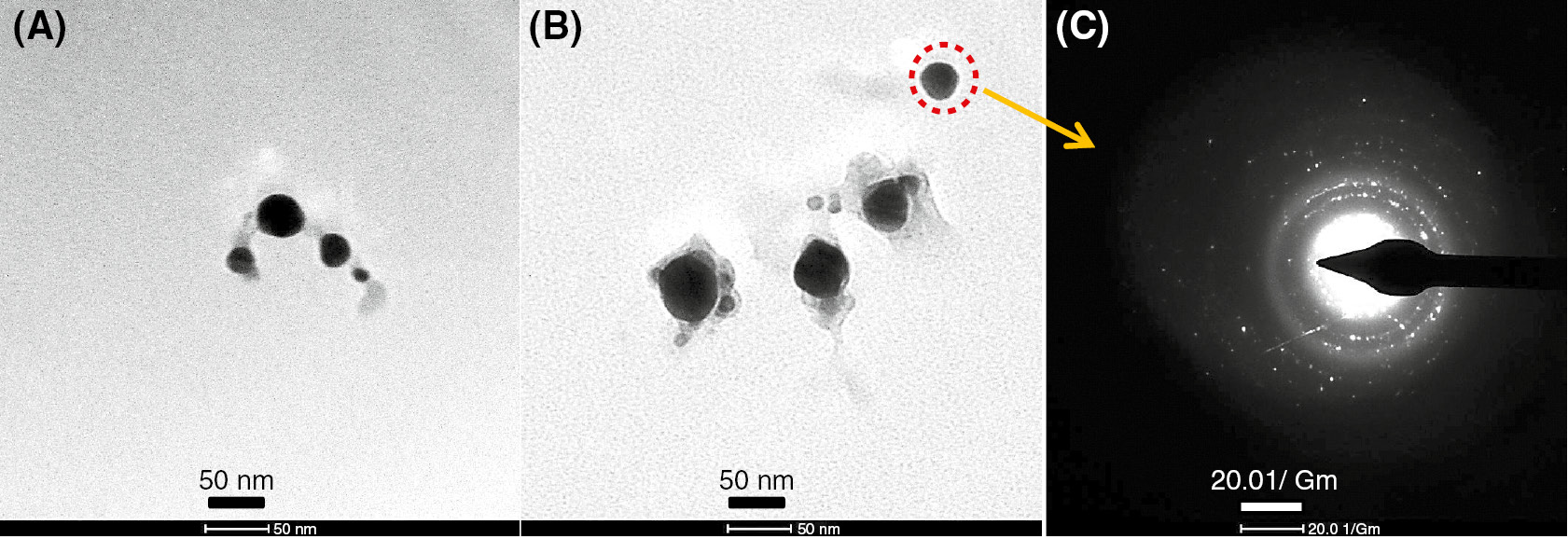 Figure 2: (A, B) TEM pictures and (C) SAED pattern of AgNPs.