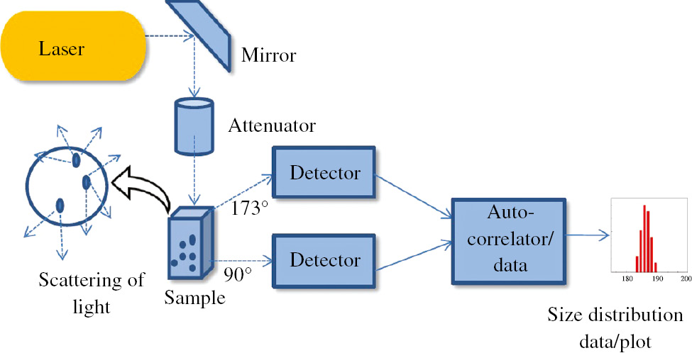 Figure 1: Representative flow diagram of a DLS instrument.