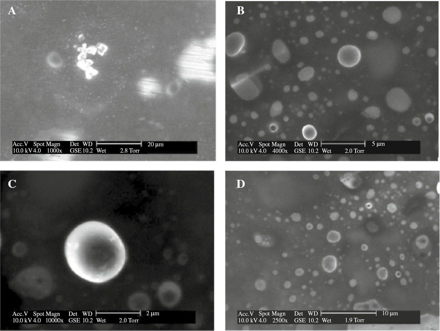 Figure 4: Environmental scanning electron micrographs of ibuprofen liposome made of phospholipid and cholesterol (4:1 molar ratio) dispersed in 0.01 M phosphate-buffered saline (pH 7.4). Stabled liposomal structured were observed when they were subjected to controlled dehydration at an operating pressure of 2.8 Torr (A), 2.0 Torr (B), 1.9 Torr (C), and even 1.9 Torr (D). Scale bars are denoted within the individual figure. Reprinted from Liao et al. [52].