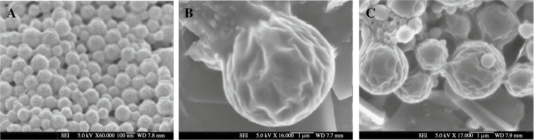 Figure 5: FESEM images of (A, B) docetaxel-loaded PLGA/poloxamer 188 NPs; (C) empty PLGA/poloxamer 188 NPs. Scale bar denotes 100 nm (A) and 1 μm (B and C). Reprinted from Haiss et al. [57].