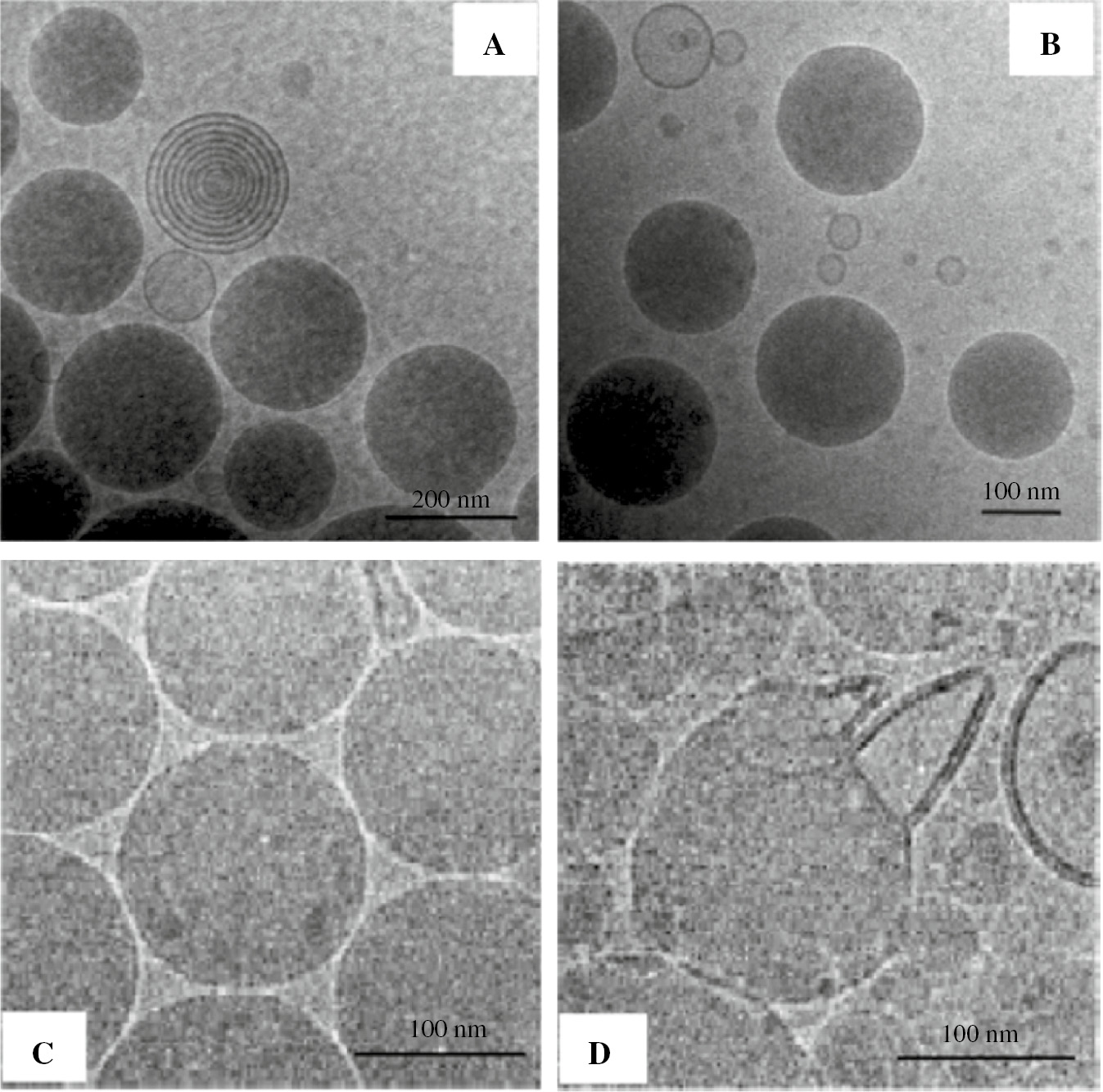 Figure 6: Images of colloidal fat emulsions obtained by cryo-TEM: (A) Lipofundin® 20% N, (B) Lipofundin® MCT 20%, (C and D) triglyceride emulsions stabilized with egg yolk lecithin alone (C) and with the admixture of stearylamine for surface modification (D). Reprinted from Kuntsche et al. [7].