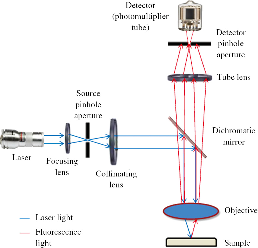 Figure 7: Schematic diagram of a confocal laser microscopy.