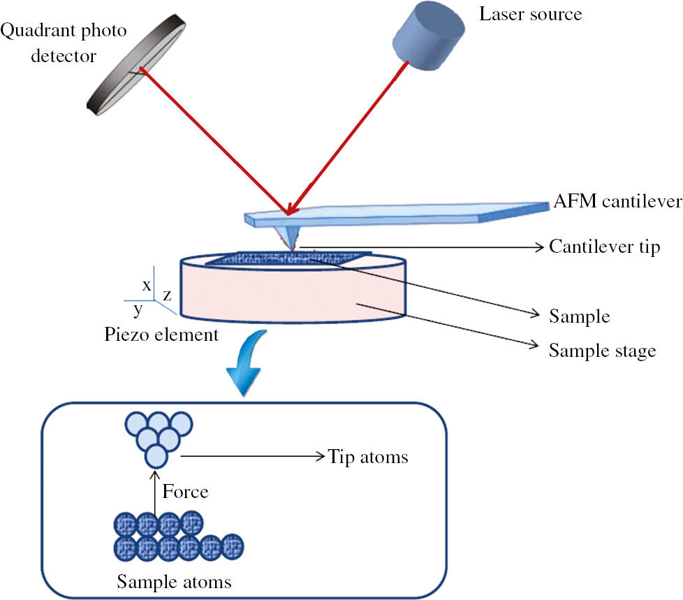 Figure 9: Representative assembly of an AFM apparatus.