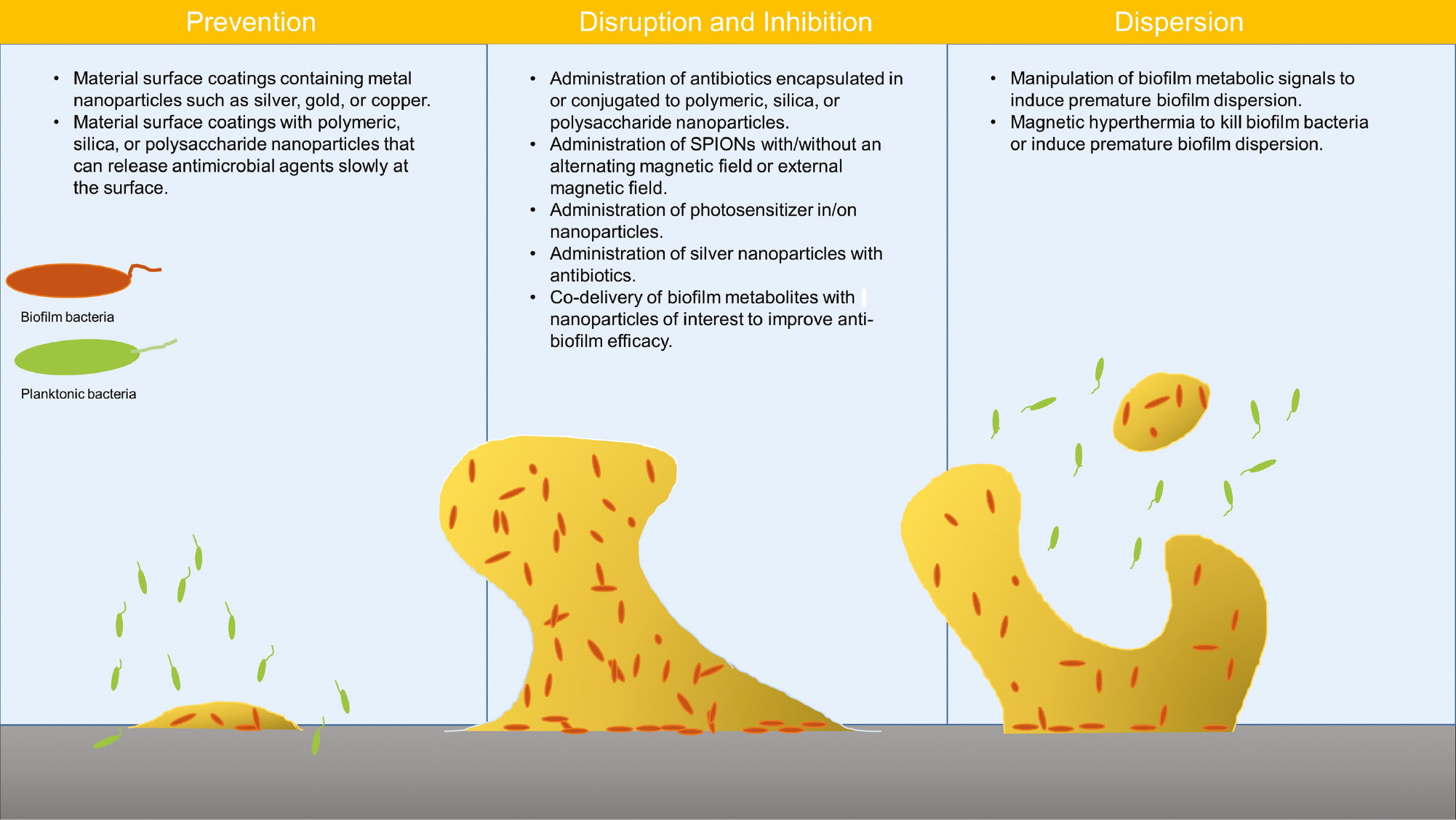 Figure 1: Applications of various nanoparticle treatments to either prevent, disrupt and inhibit, or disperse bacteria from biofilm infections.