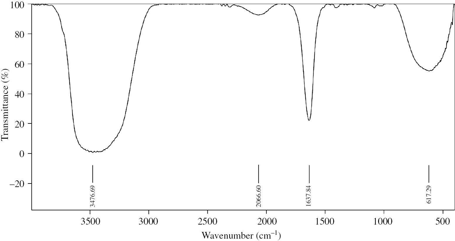 Figure 1: FT-IR spectrum of mushroom extract.