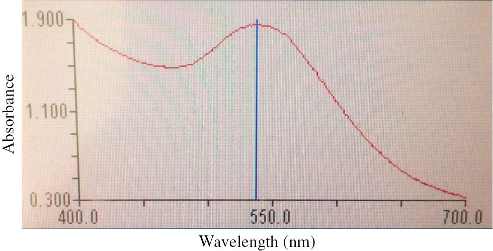 Figure 6: UV-Vis spectra of the mixture solution containing HAuCl4 and mushroom extract, after synthesis with exposure to microwave irradiation at obtained optimum synthesis conditions.