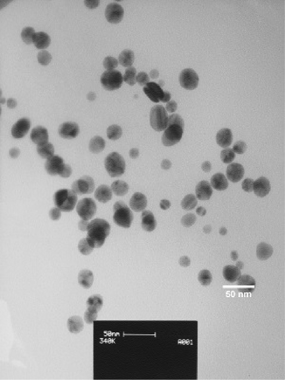 Figure 9: TEM image of the synthesized AuNPs using mushroom extract.