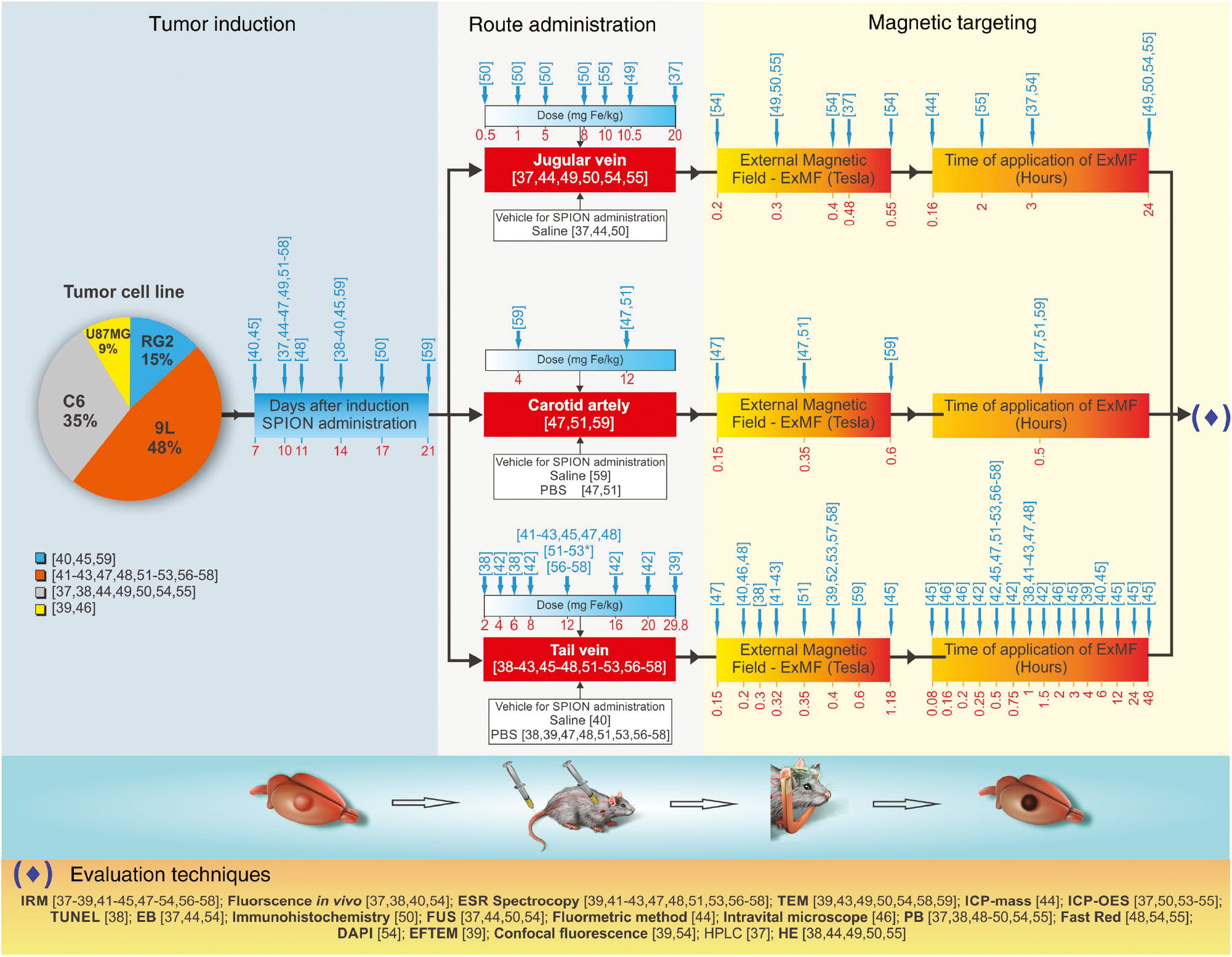 Figure 3: Experimental designs of magnetic targeting process used in the studies selected for the review. *Number of repetitions of ExMF. Studies not mentioned in this figure did not present any of the data items outlined.