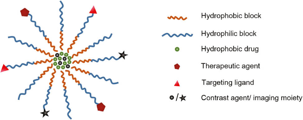 Figure 2: Schematic of optimized polymeric micelle for anticancer therapy, bearing targeting ligands, contrast agents or imaging moieties and therapeutic drugs.