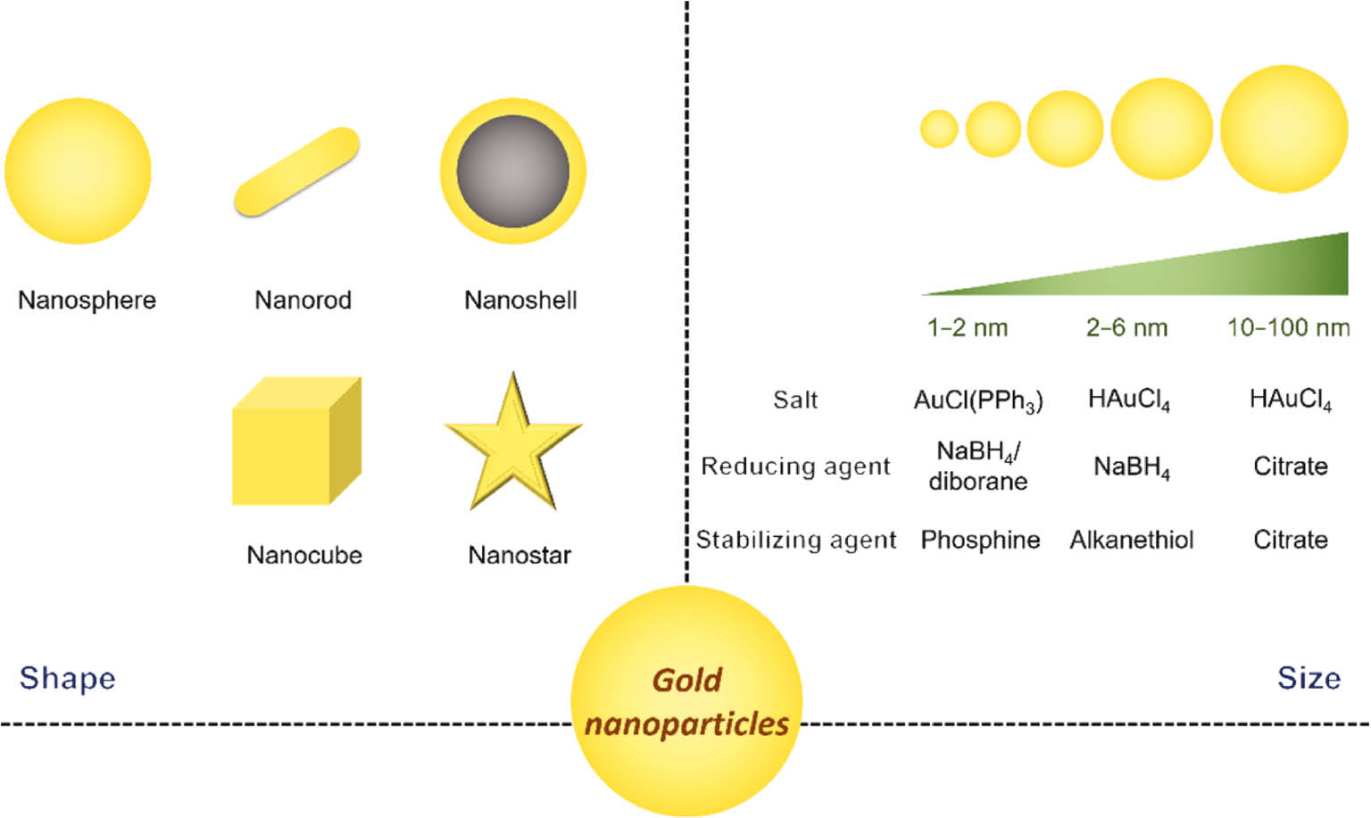 Figure 4: The synthetic versatility of AuNPs. Various shapes and sizes of AuNPs controlled through changing the synthetic condition.