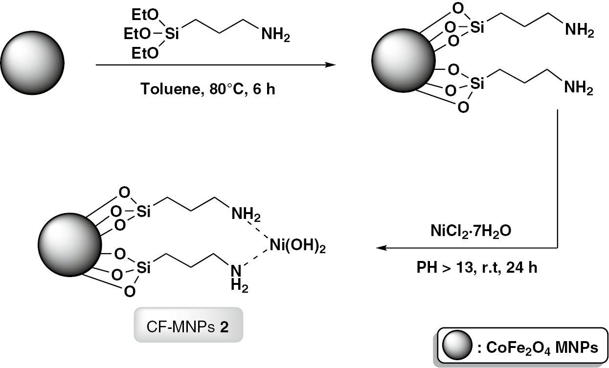 Scheme 2: General route for the synthesis of nickel hydroxide/cobalt-ferrite (CF-MNPs 2).