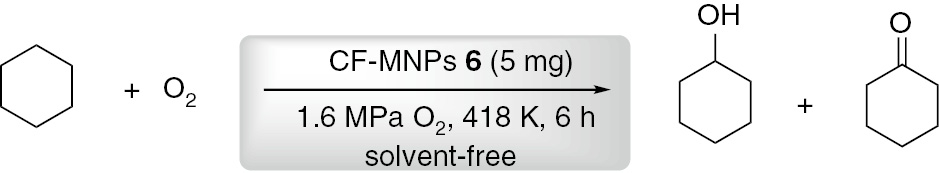 Scheme 5: Oxidation of cyclohexane catalyzed by CF-MNPs 6.