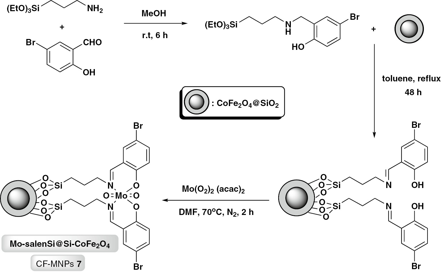 Scheme 6: Stepwise preparation of Schiff base molybdenum complex immobilized on silica-coated cobalt ferrite nanoparticles (CF-MNPs 7).