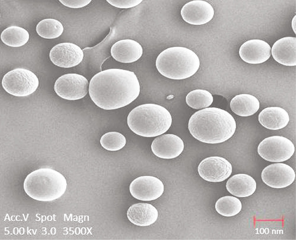 Figure 4: TEM analysis of nanoparticles.