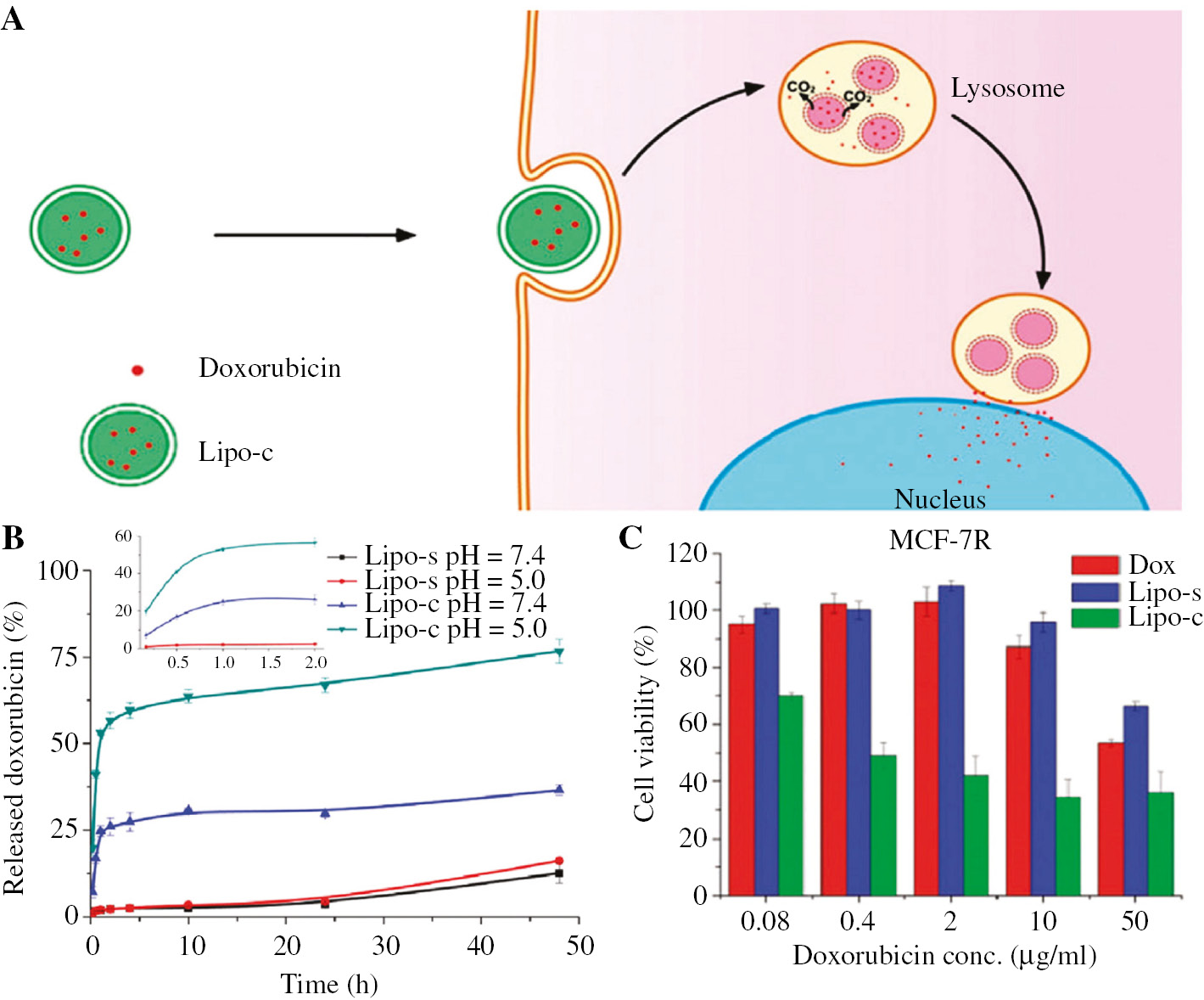Figure 8: Gas generating-based pH-labile liposome. (A) A novel DOX-encapsulated liposome with NH4HCO3will produce CO2 in an acidic environment leading to drug release. (B) Quantitative DOX release from pH-sensitive liposome (Lipo-c) and normal liposome (Lipo-s). (C) The resistant MCF-7 cell viability after treatment with DOX-encapsulated liposomes. Reprinted with permission from Ref. [128], copyright 2012, Royal Society of Chemistry.