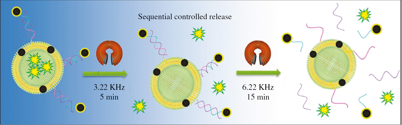 Figure 12: Schematic illustration of sequential controlled release of dual MNP-equipped liposomes. Reprinted with permission from Ref. [182], copyright 2016, American Chemical Society.