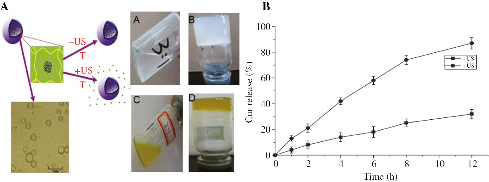 Figure 14: (A) Schematic illustration of Cur-LM-G and the external morphology of the blank liposome microbubble gel is shown at the middle: (A) under the temperature of gelation, (B) gelation process, (C) the formed Cur-LM-G under the temperature of gelation, and (D) gelation. (B) The percentage of curcumin that is released from Cur-LM-G in the presence and without the presence of US. Reprinted with permission from Ref. [206], copyright 2013, Elsevier.