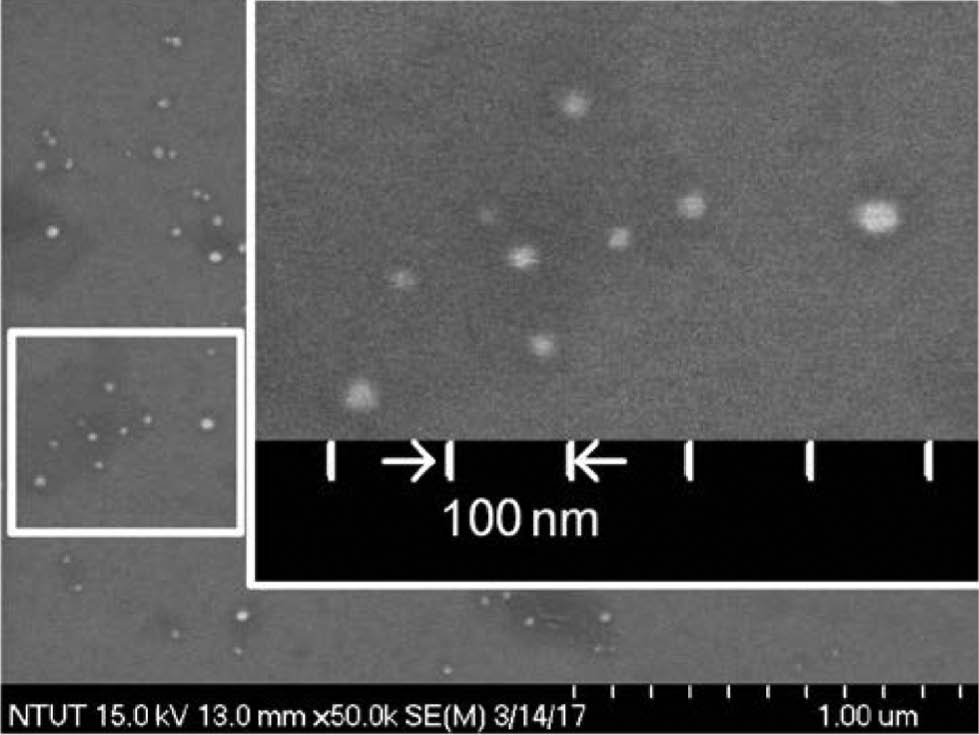 Figure 7: An SEM diagram of Ag particles.