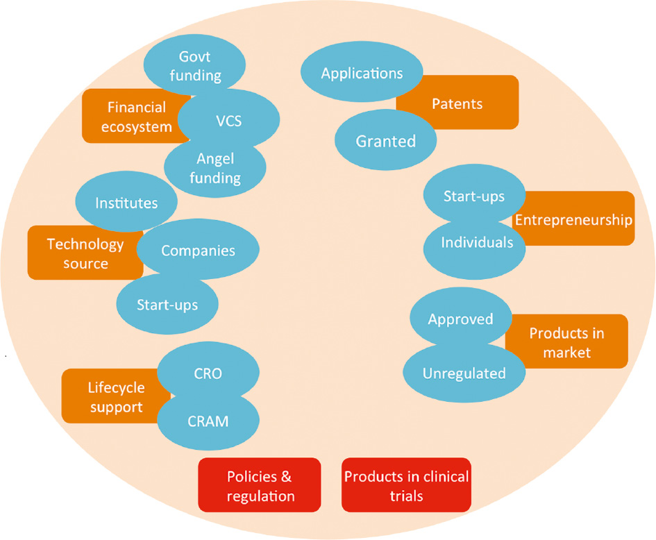 Figure 1: Parameters for the nanomedicine innovation landscape. The various parameters that have been considered in the study to map nanomedicine innovation are financial ecosystem (government funding, venture capitalist, angel funding), technology source (institutes, companies, startups), research translation (life cycle support, products in market, and undergoing clinical trials), bibliometric data (patents and publications), and regulation.