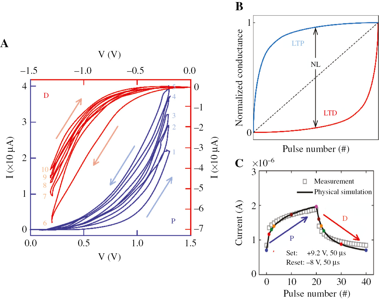 Figure 2: Multi-level RS behavior and the two-stage phenomenon in conductance modulation in the memristor. (A) Mult-ilevel resistive switching properties of the Pd/WO3/W device obtained by applying DC sweeps. The number in this figure indicates the sweep sequence. Blue, the set process; red, the reset process. Adapted with permission from Ref. [25]. Copyright 2011 Applied Physics A Materials Science and Processing. (B) Non-linear conductance modulation curve with ideal symmetric P/D curves and normalized conductance as the Y-axis. (C) Ta/TaOx/TiO2/Ti device. Non-linear conductance modulation curve obtained by applying AC pulses successively. The hollow point is experimental data, and the black solid curve is the simulation results. Adapted with permission from Ref. [67]. Copyright 2015 Scientific Reports.