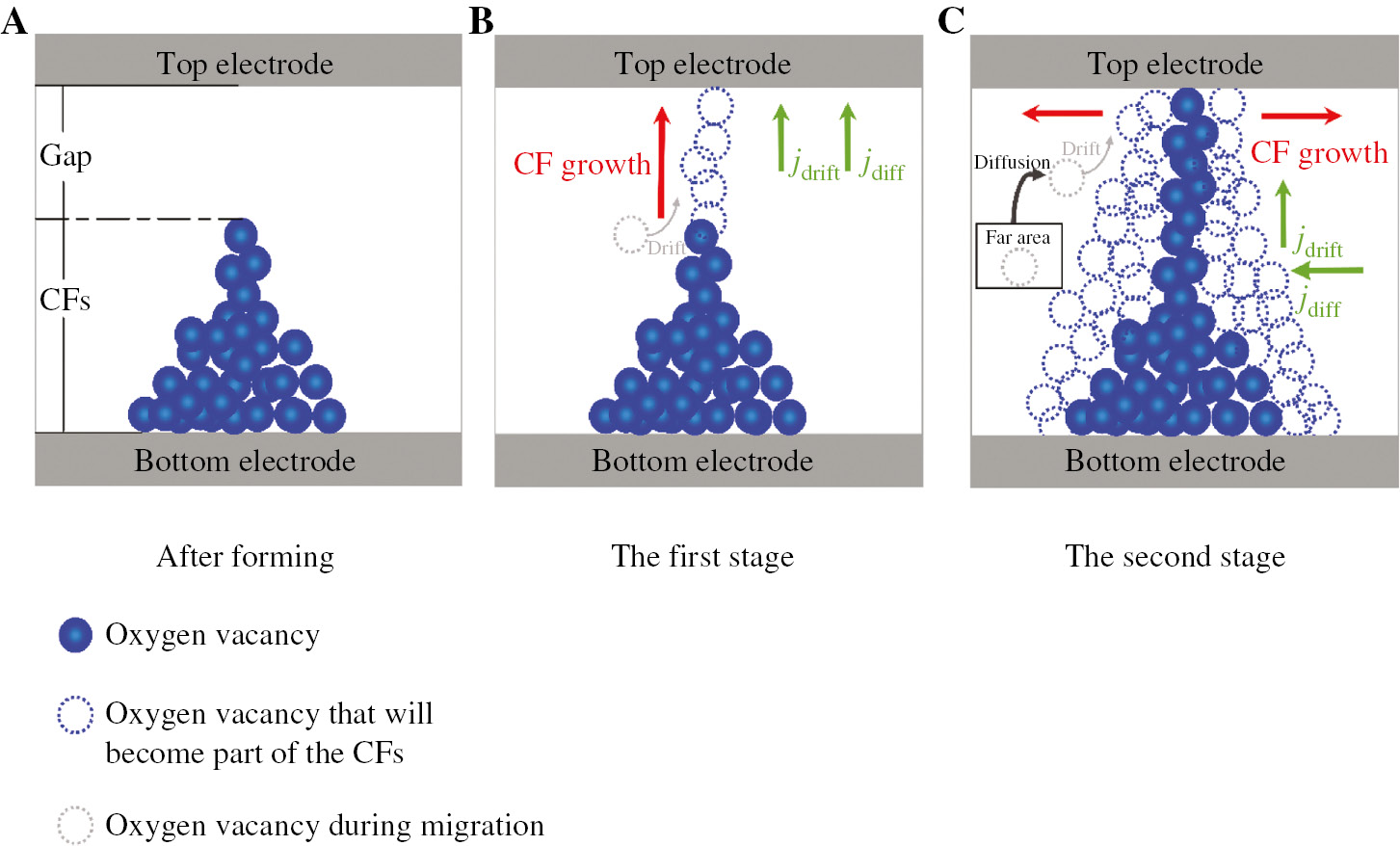 Figure 5: Vo migration model in a two-stage process in conductance modulation of a memristor. (A) Initial state of the memristor based on the CF model. (B) Model of processes that dominate VO migration in the first stage. (C) Model of processes that dominate VO migration in the second stage.