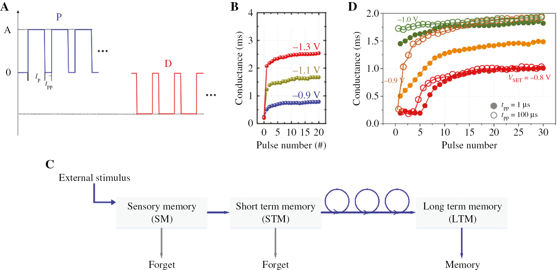 Figure 7: Identical pulse and the response of the memristor to the pulse. (A) Identical pulse. (B) Conductance modulation curves of the programming pulse with different amplitudes based on the Pd/Ta2O(5−x)/TaOy/Pd memristor device. Adapted with permission from Ref. [104]. Copyright 2015 Applied Physics Letters. (C) Multiple memory model. (D) Conductance modulation curves of the programming pulse with different amplitudes and tpp based on the Ta2O(5−x)-based memristor device. Adapted with permission from Ref. [98]. Copyright 2015 Nano letters.