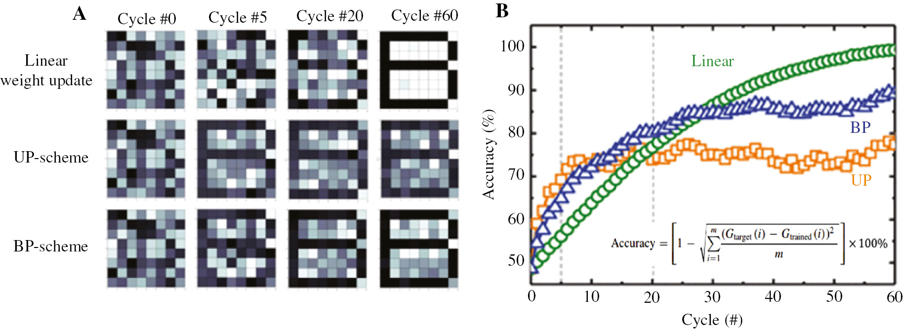 Figure 14: Changes in learning accuracy at system level caused by optimized NL at device level. Adapted with permission from Ref. [139]. Copyright 2016 Springer. (A) Comparison of the simulated training weight map of an 8×8 binary alphabetic B pattern when the device is programmed with three weight update schemes. The first column, linear weight update scheme; the second column, scheme based on identical programming pulse; the third column, scheme based on the weak programming pulse with opposite polarity. (B) Comparison of the simulated training accuracy, defined by equation inset, when the device is programmed with three weight update schemes. Inset shows the difference in NL between two kinds of programming schemes (identical pulse, the weak pulse with opposite polarity).
