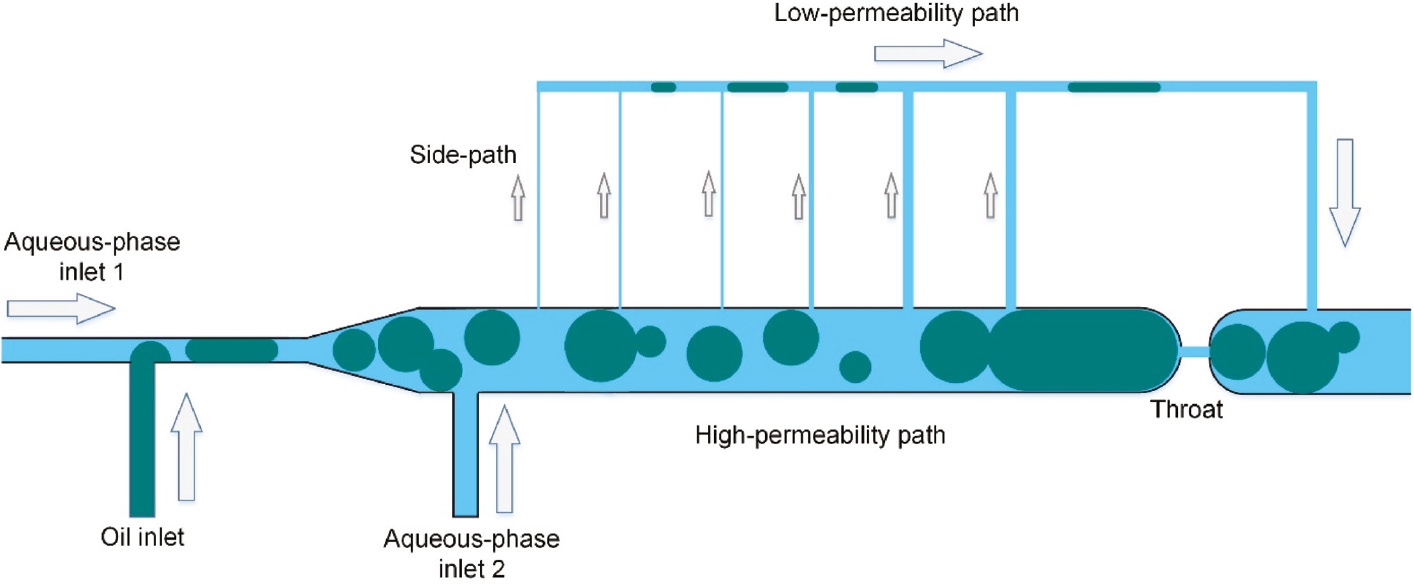 Figure 2: The schematic of the microfluidic design [78].
