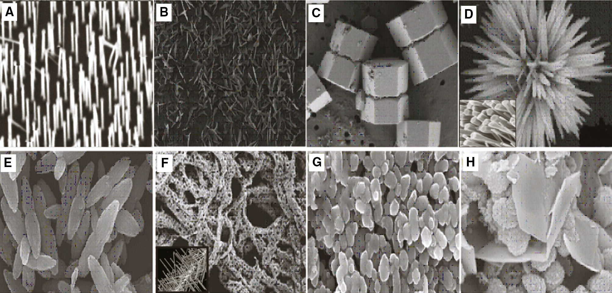 Figure 2: ZnO electron microscopic nanostructures: (A) needles, rods, and wires; (B) helixes and springs; (C) nanopellets/nanocapsules; (D) flower, snowflakes, and dandelion; (E) peanut-like; (F) interwoven particle hierarchy; (g) raspberry, nanosheet/nanoplate; (H) circular/round or sphere shaped [1], [2], [3].