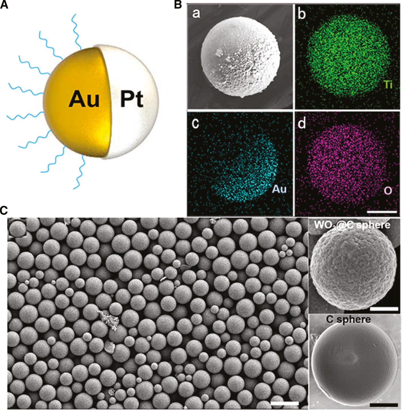 Figure 7: Structure of the microspheres employed in light-driven micro/nanomotors. (A) Schematic of the microsphere Au/Pt micromotor [103]. Copyright 2015, American Chemical Society. (B) SEM image and energy dispersive X-ray images for Ti, Au and O elements for the Au/TiO2 Janus micromotor. The scale bar is 0.5 μm [71]. Copyright 2015, American Chemical Society. (C) SEM characterization results for Au/WO3@C microsphere motors, whose average diameter is evaluated to be about 1 μm [43]. Copyright 2017, American Chemical Society.
