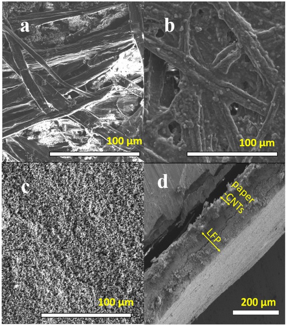 Figure 1 Representative scanning electron micrographs of (a) uncoated paper, (b) paper coated with carbon nanotubes (CNTs), (c) top view and (d) cross-sectional view of LiFePO4 coated on paper-CNTs.