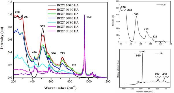 Figure 1 Raman spectroscopy of the HA-BCZT composites of different rations, the Raman spectra of the pristine BCZT and Hydroxyapatite with their active Raman modes