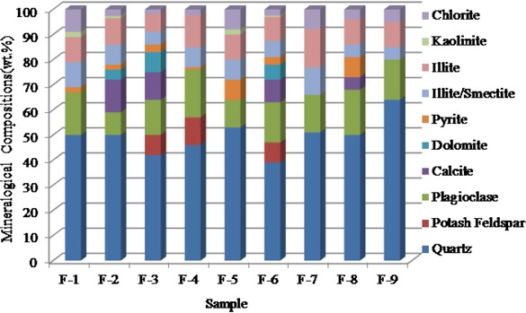 Figure 2 Quantitative analysis results of clay minerals in shale.