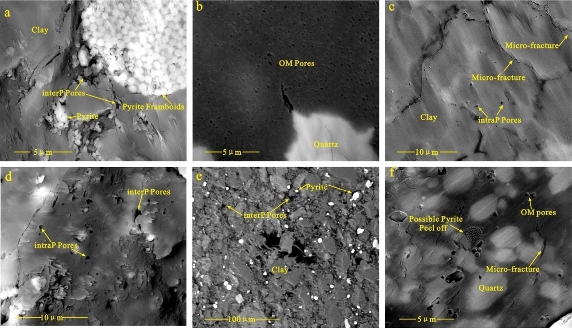 Figure 5 Pore distribution of different types of nanoscale organic matter in shale (a: intragranular pores developed in strawberry-like pyrite and clay minerals, F-1, Ro = 2.10%; b: honeycomb organic pores, F-2, Ro = 2.35%; c: intragranular pores and microcracks, F-3, Ro = 2.51%; d: intergranular pores and intragranular pores, F-4, Ro = 2.51%; e: clay mineral grains Inter-hole, F-8, Ro = 3.41%; f: micro-crack and organic pore, F-9, Ro = 3.48%).