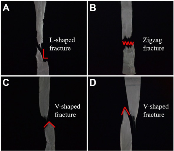 Figure 10 Fracture morphology of PAN nanofiber membranes with different concentrations: A) 8wt%; B) 10wt%; C) 12wt%; D) 14wt%.