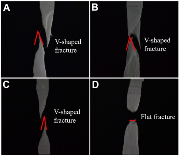Figure 11 Fracture morphology of PAN nanofiber members with different rotary speeds: A) 1000rpm; B) 1500rpm; C) 2000rpm; D)2500rpm.