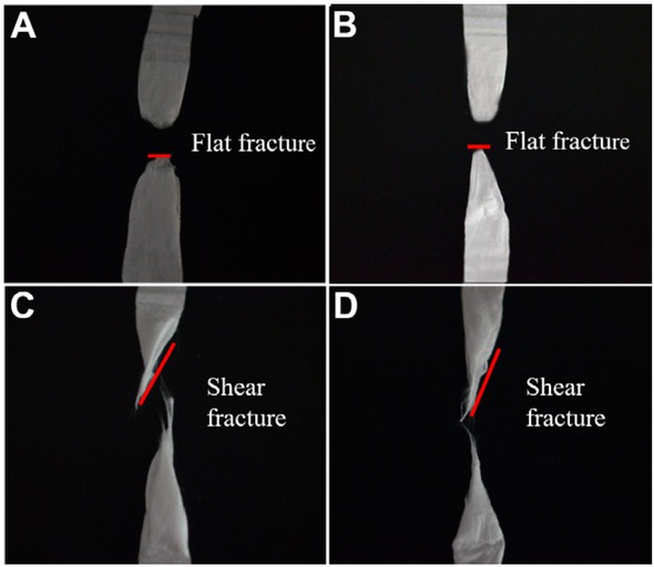 Figure 12 Fracture morphology of PAN nanofiber members with different structures: A) 0∘ B) 0∘/90∘ C) 0∘/90∘/+45∘ D) 0∘/90∘/+45∘/−45∘.