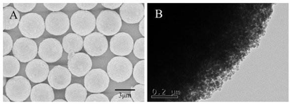 Figure 4 The SEM (A) and TEM (B) images of PSMs