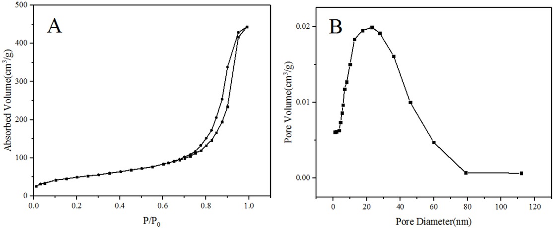 Figure 6 Nitrogen sorption isotherm (A) and pore size distribution (B) of PSMs