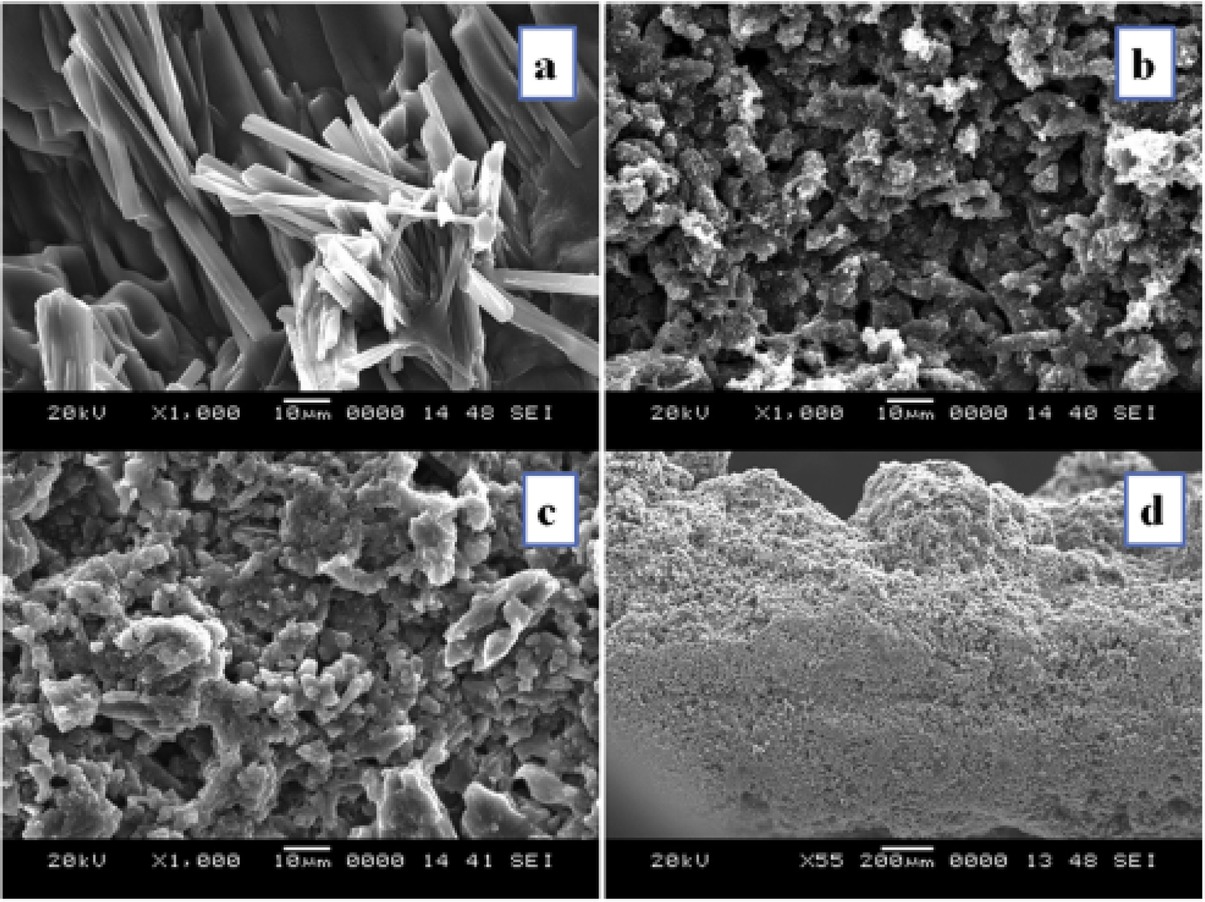 Figure 6 Scanning electron micrographs of single layered (developed using a) camphor-10-sulphonic acid b) p-toluene sulphonic acid c) sulphuric acid) and d) multi-layered activated carbon-polyaniline composite electrode materials.